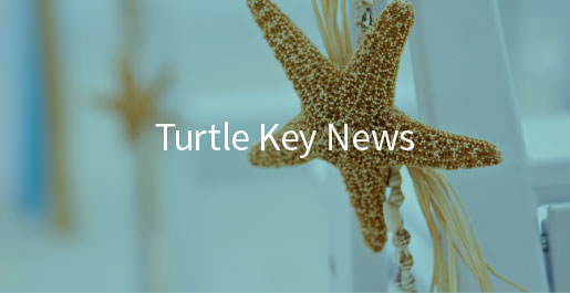 news - turtle key - florida